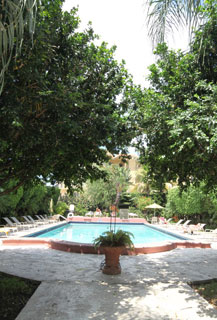 View of pool area and gardens at The Mantell Plaza